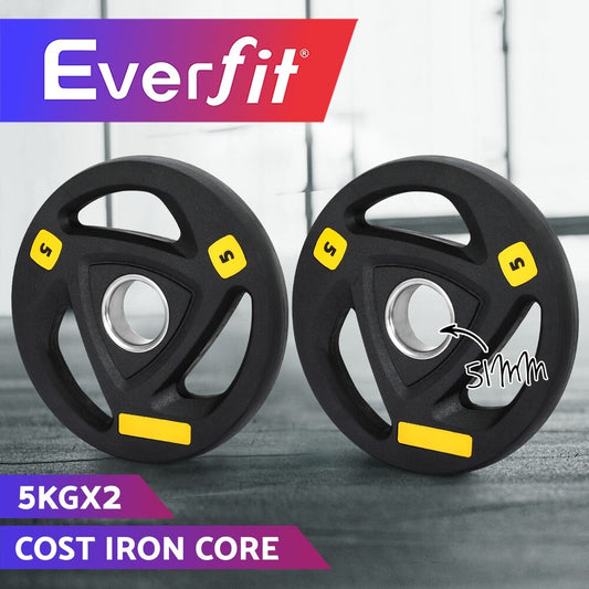 Everfit Weight Plates Olympic 5Kgx2 Dumbbells Barbells Lifting Home Lifting