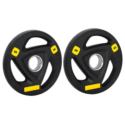 Everfit Weight Plates Olympic 5Kgx2 Dumbbells Barbells Lifting Home Lifting