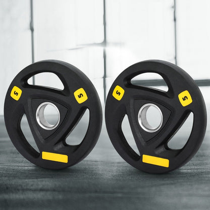 Everfit Weight Plates Olympic 5Kgx2 Dumbbells Barbells Lifting Home Lifting